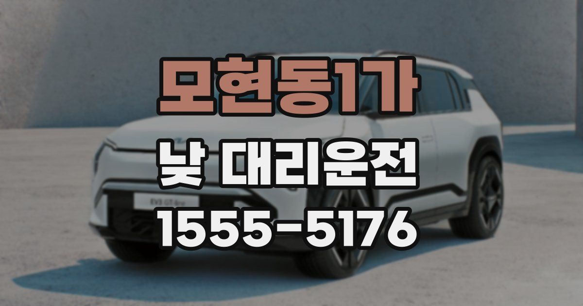 모현동1가 낮 대리운전
