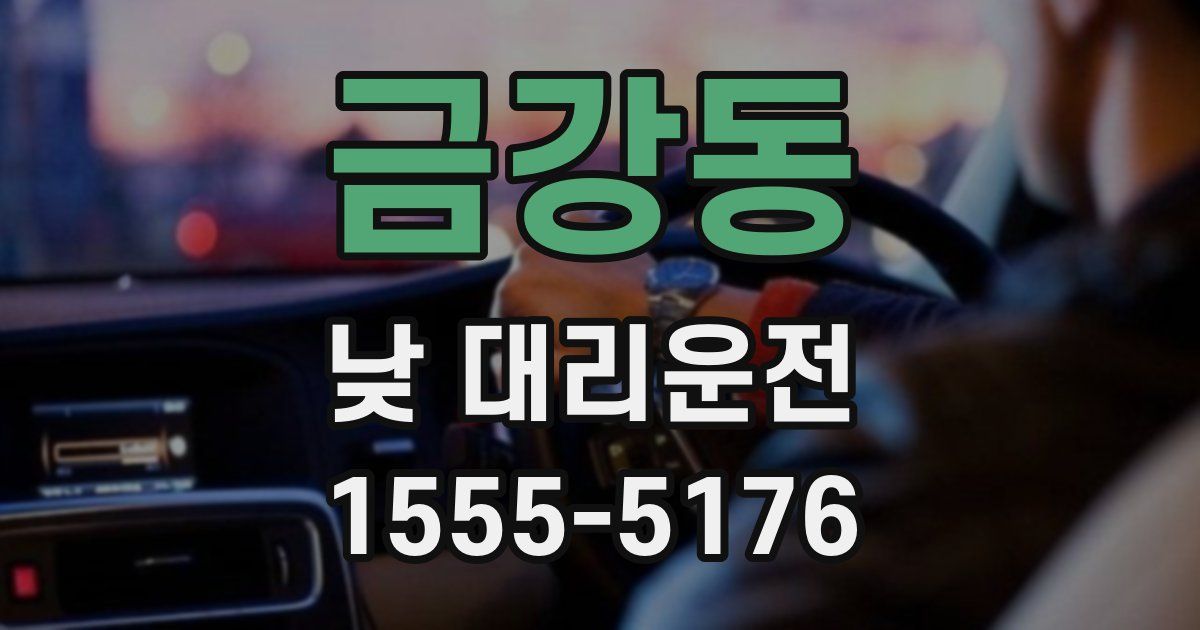 금강동 낮 대리운전