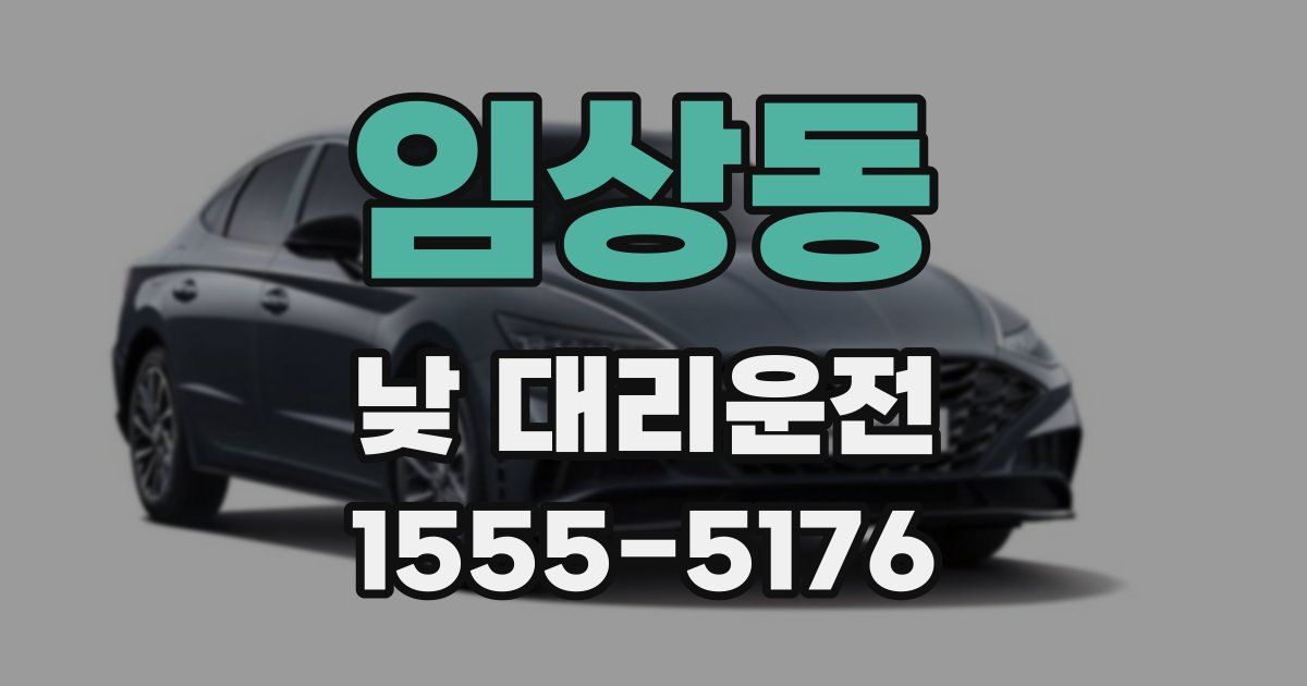 임상동 낮 대리운전