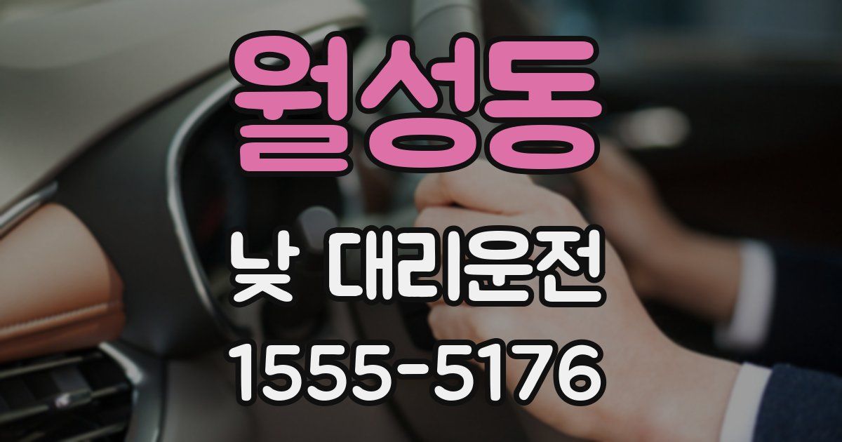 월성동 낮 대리운전