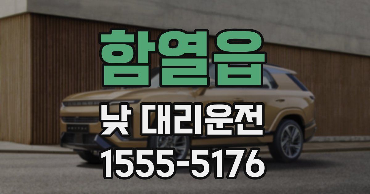 함열읍 낮 대리운전