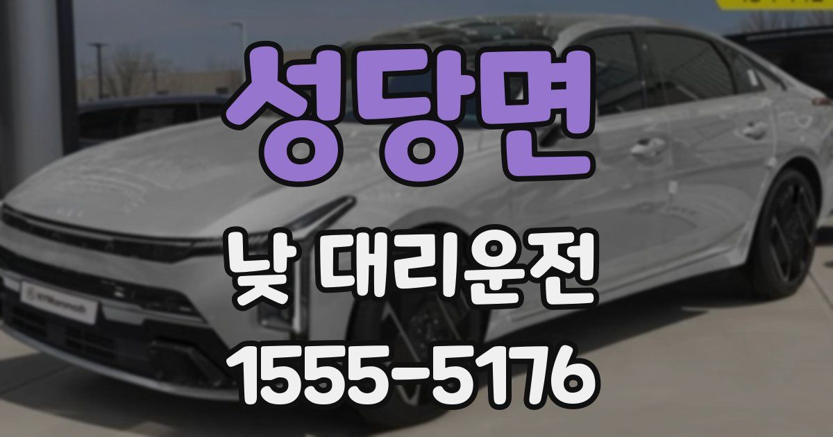 성당면 낮 대리운전