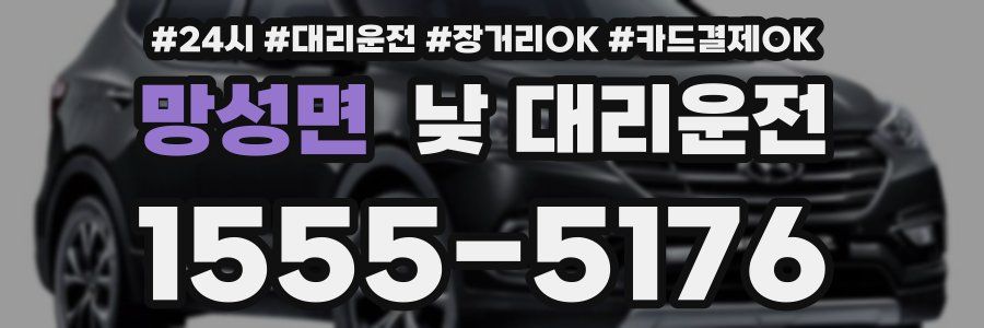 망성면 낮 대리운전