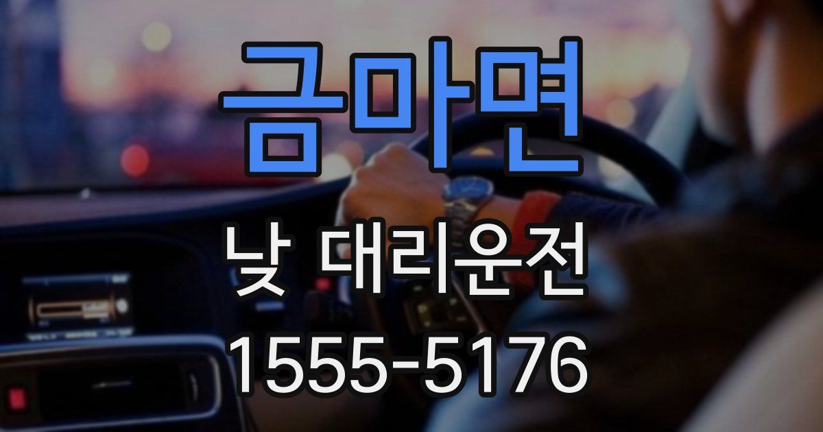 금마면 낮 대리운전