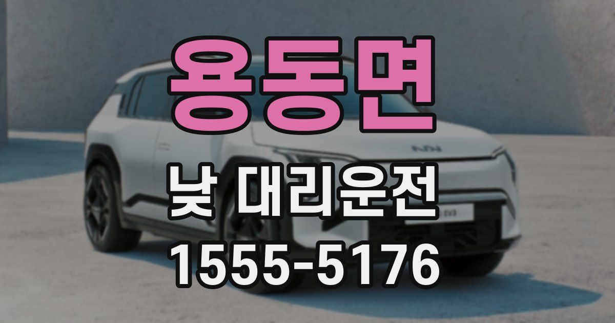 용동면 낮 대리운전