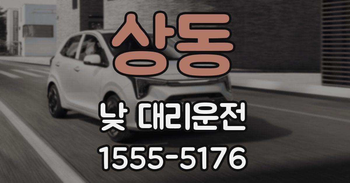 상동 낮 대리운전