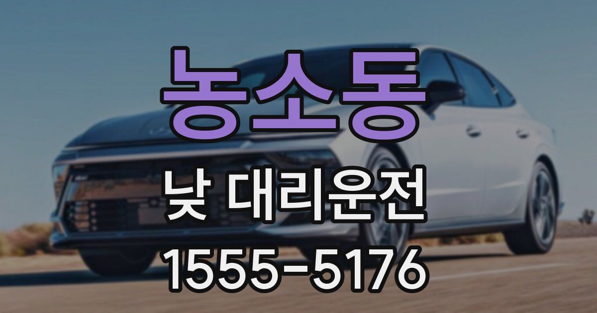 농소동 낮 대리운전