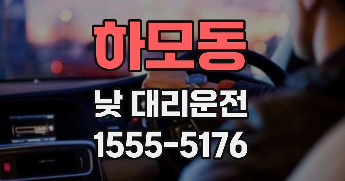 하모동 낮 대리운전
