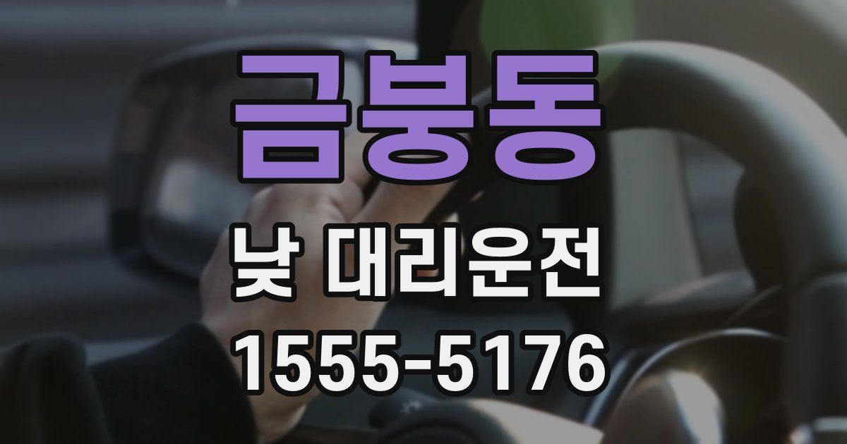 금붕동 낮 대리운전
