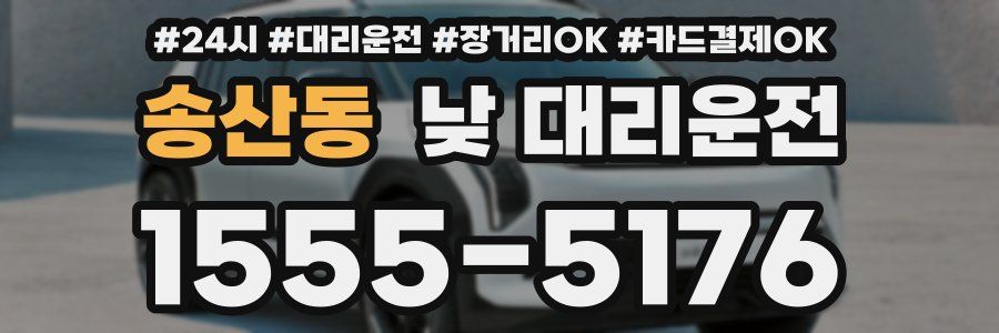 송산동 낮 대리운전