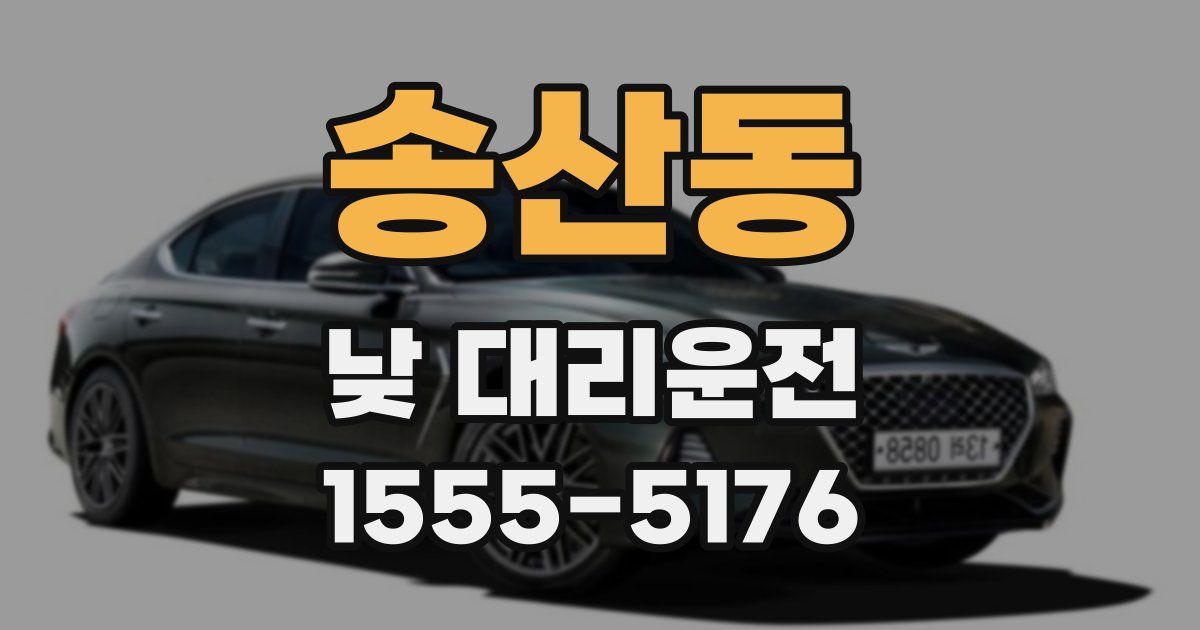 송산동 낮 대리운전