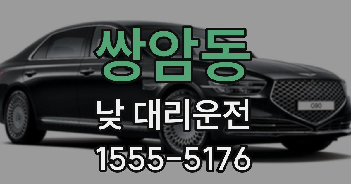 쌍암동 낮 대리운전