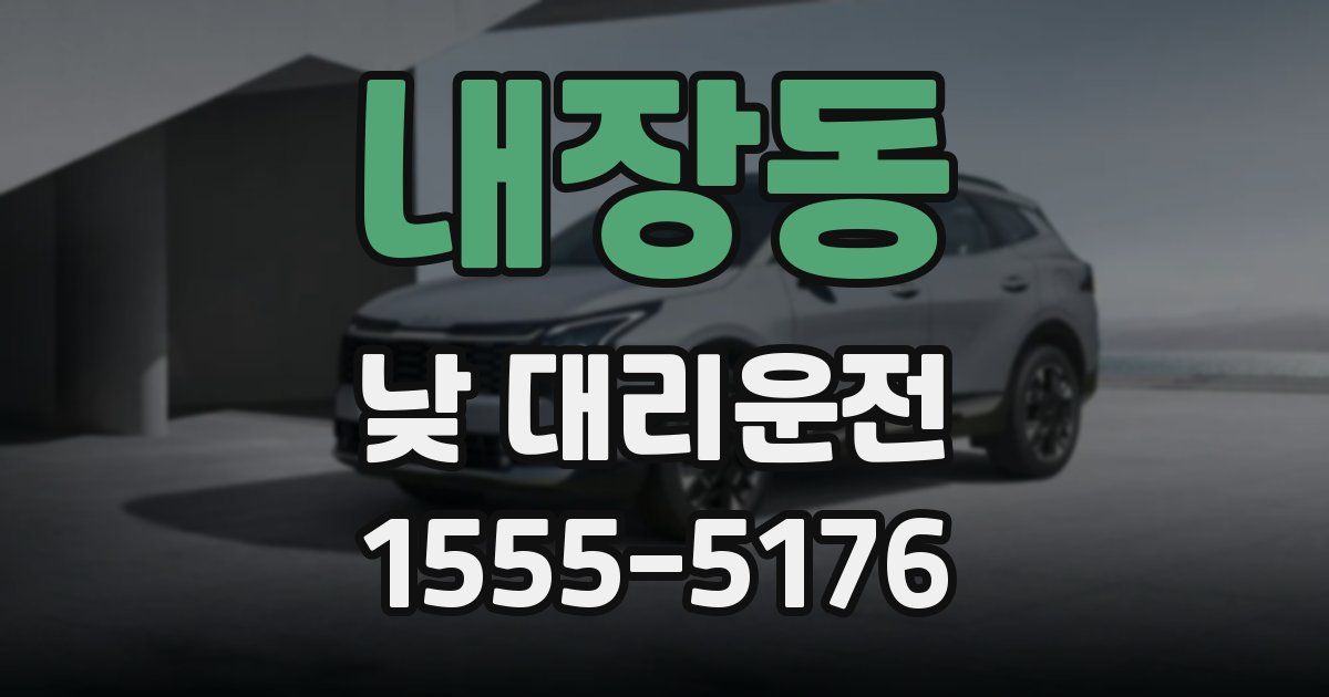 내장동 낮 대리운전