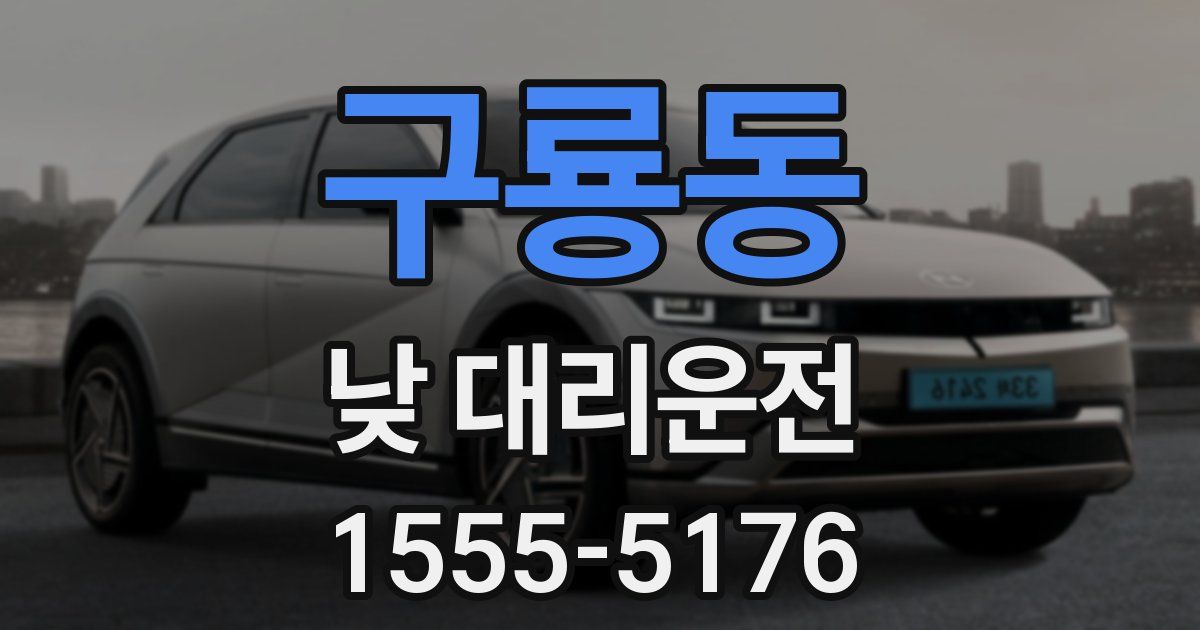 구룡동 낮 대리운전