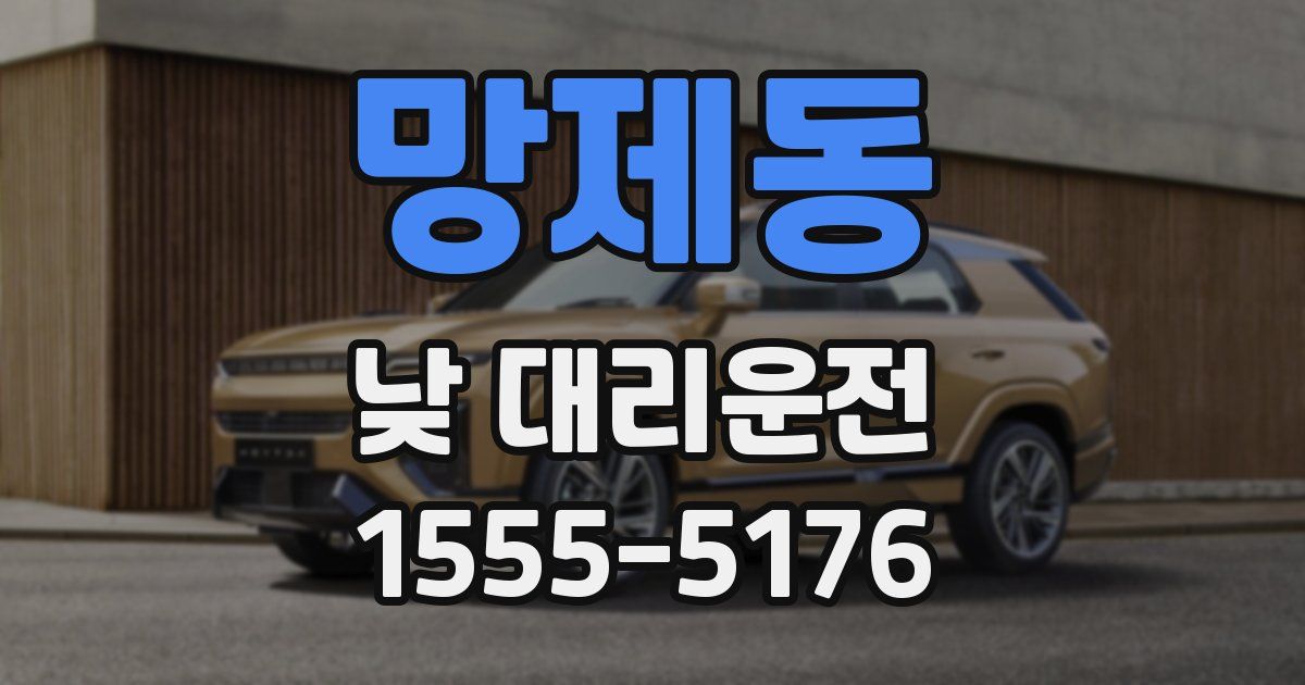 망제동 낮 대리운전