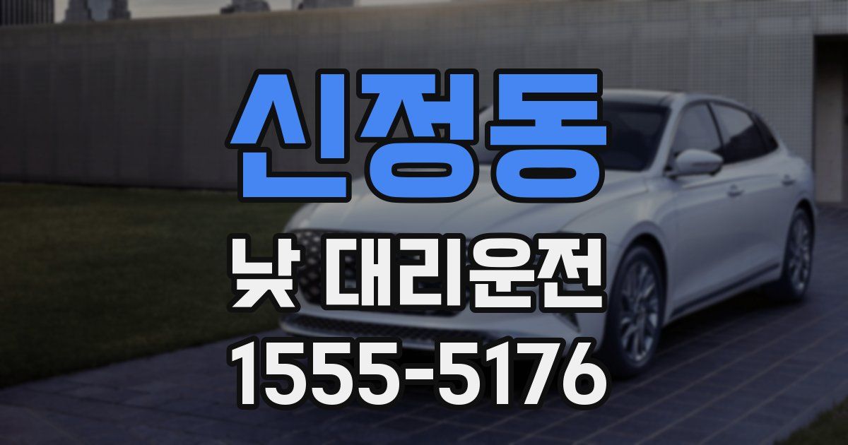 신정동 낮 대리운전