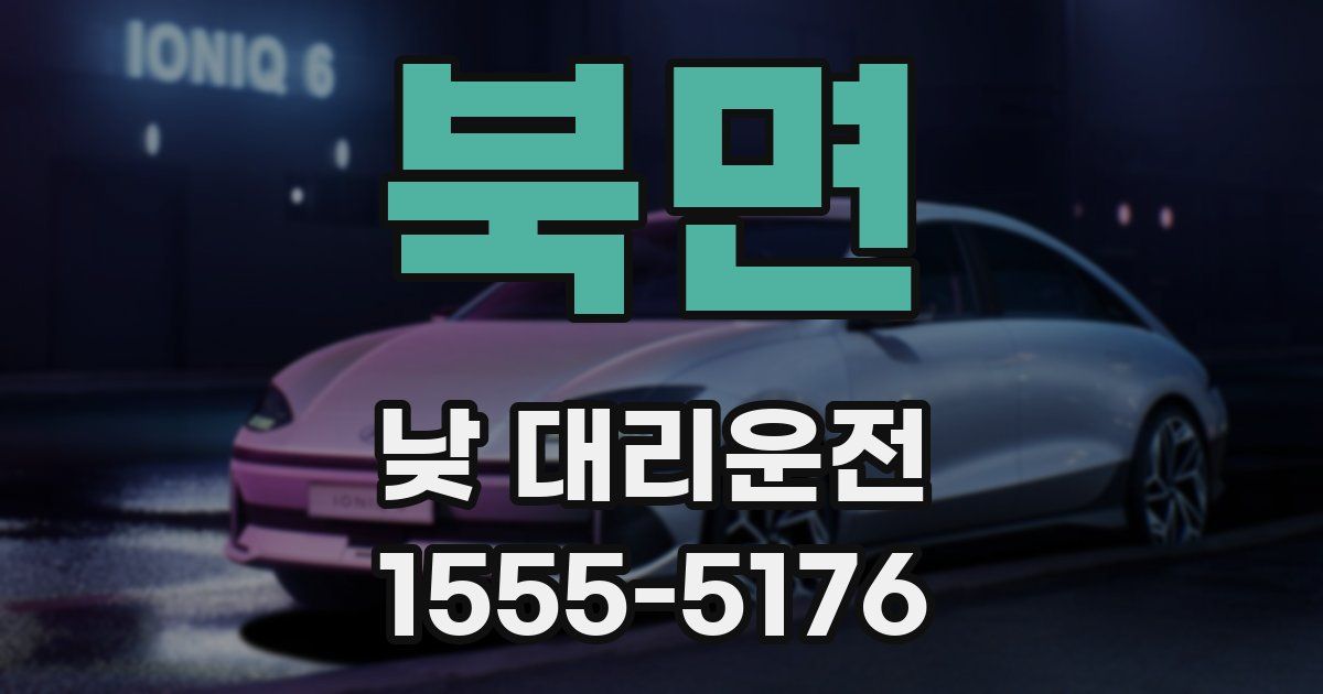 북면 낮 대리운전