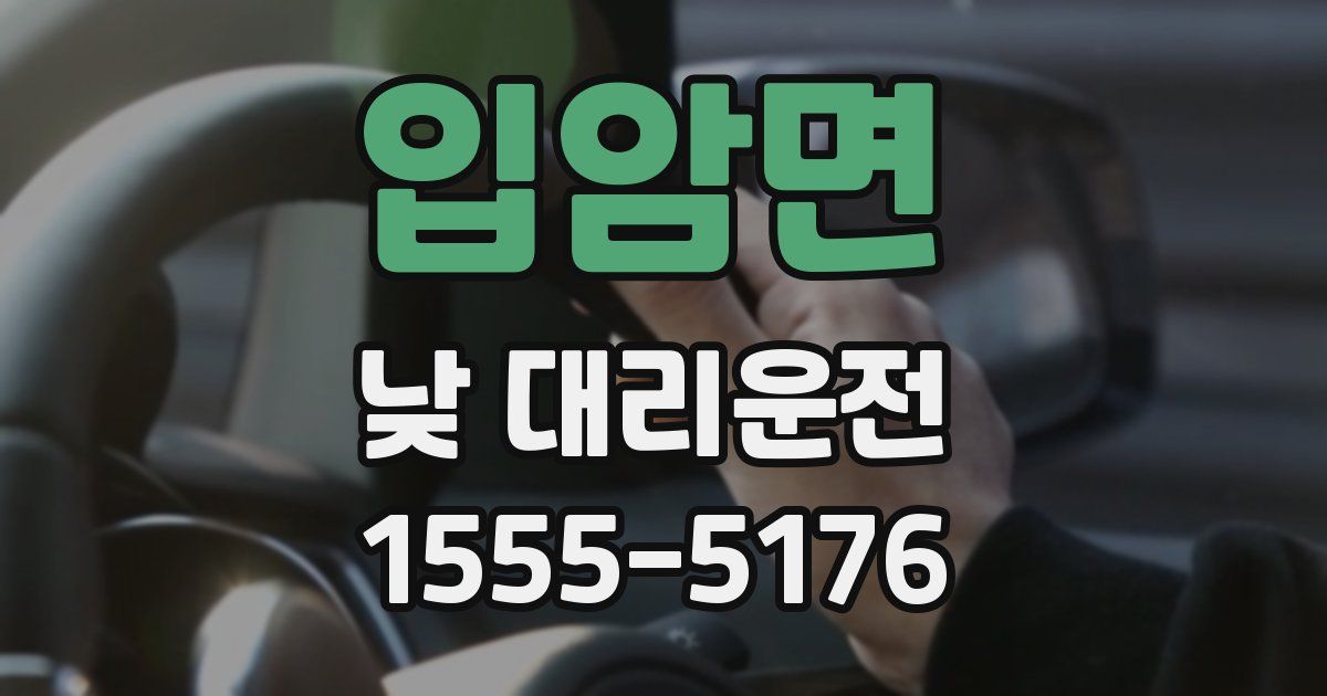 입암면 낮 대리운전