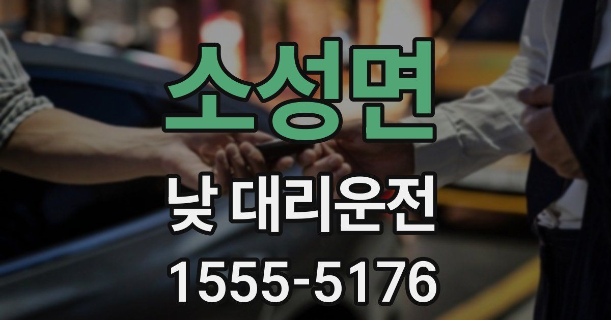 소성면 낮 대리운전