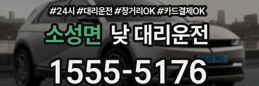 소성면 낮 대리운전