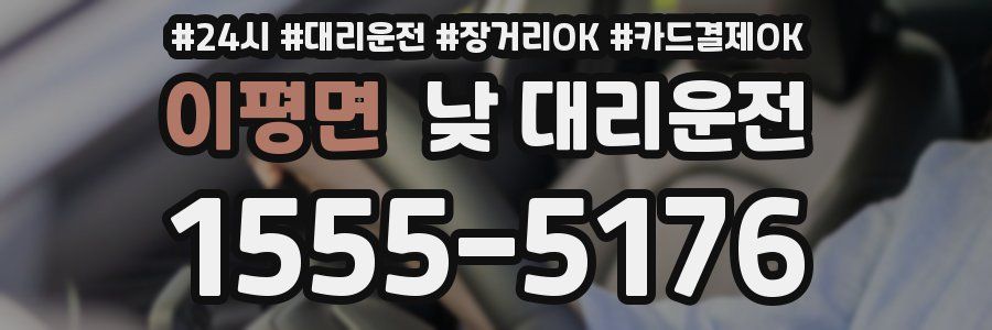 이평면 낮 대리운전
