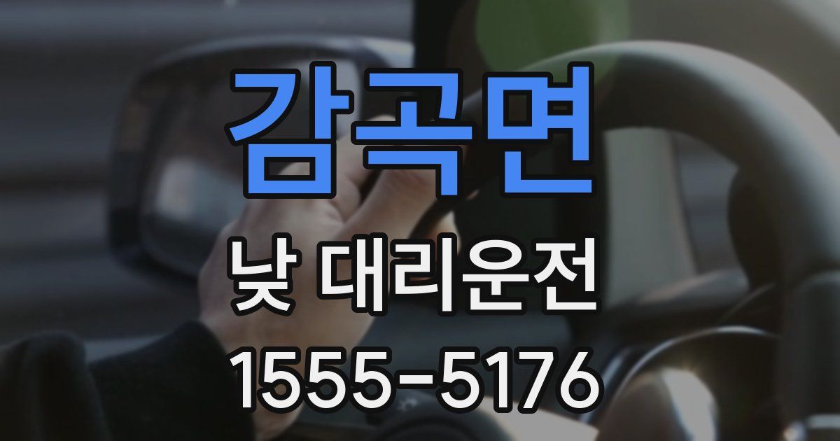 감곡면 낮 대리운전