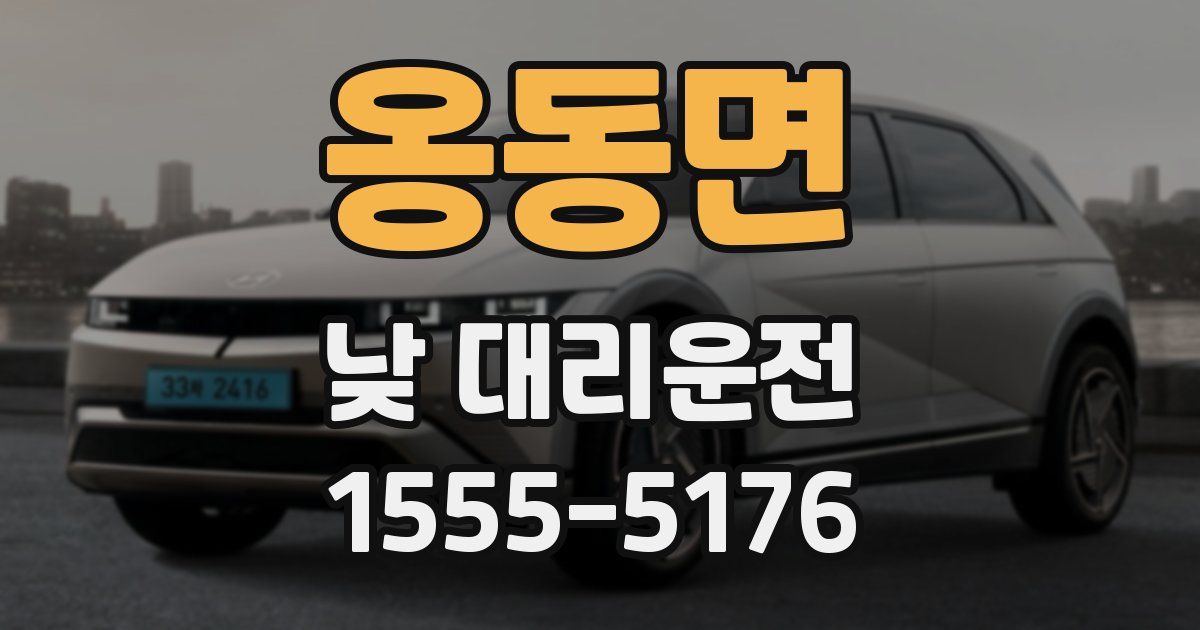옹동면 낮 대리운전