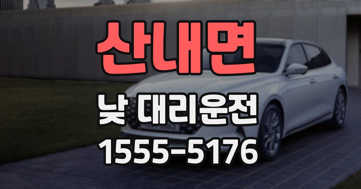 산내면 낮 대리운전