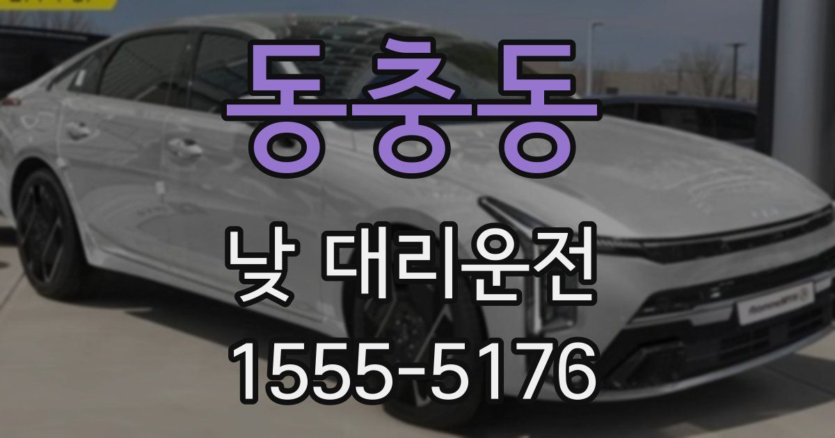 동충동 낮 대리운전