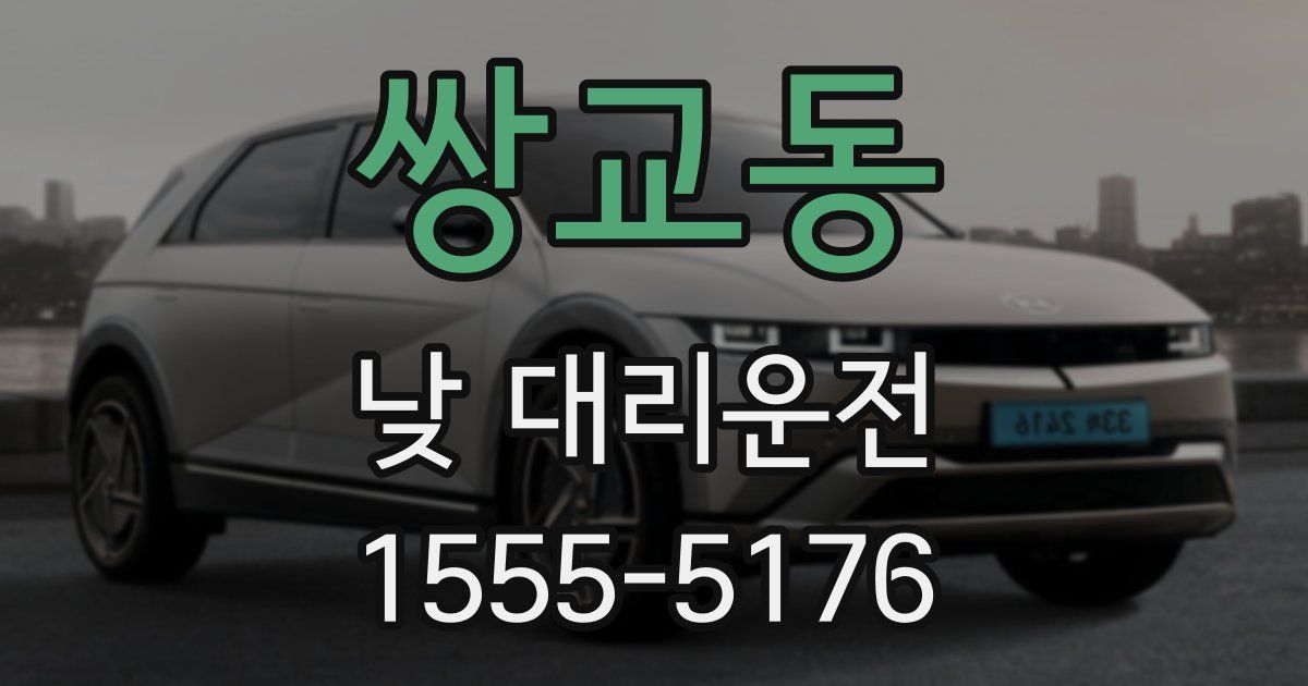 쌍교동 낮 대리운전