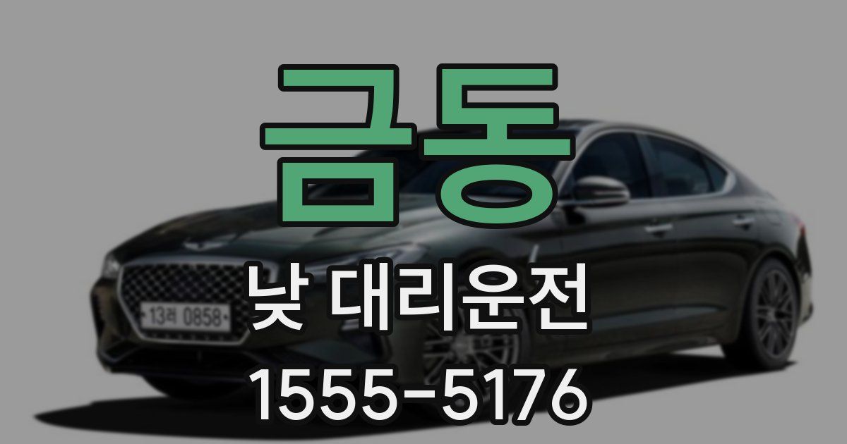 금동 낮 대리운전