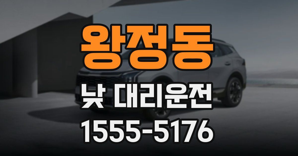 왕정동 낮 대리운전