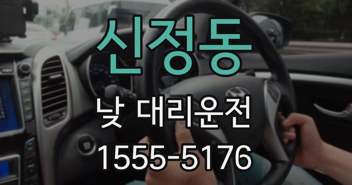 신정동 낮 대리운전