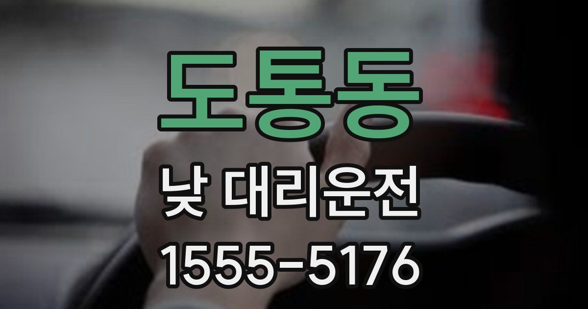 도통동 낮 대리운전
