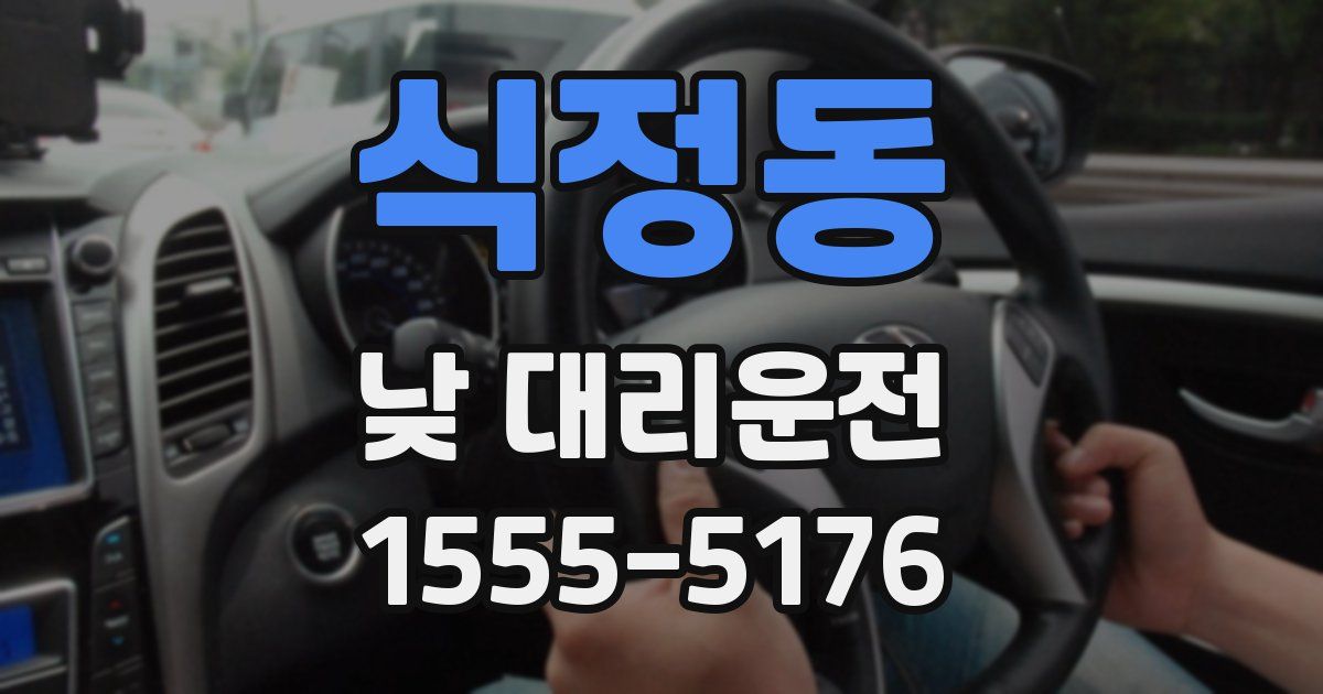 식정동 낮 대리운전