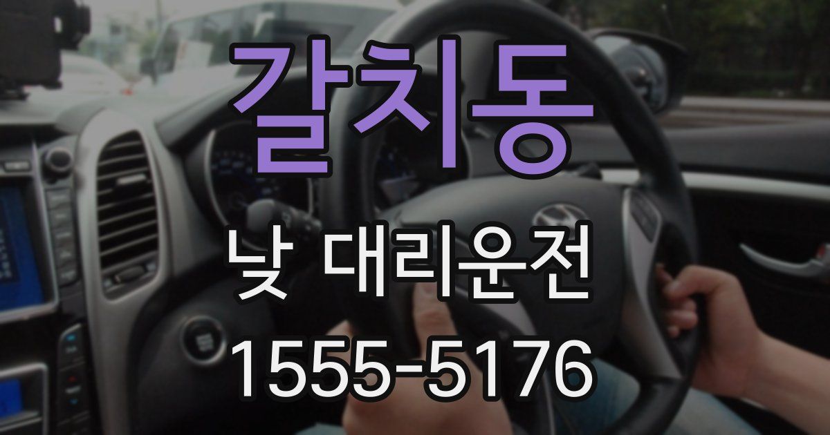 갈치동 낮 대리운전