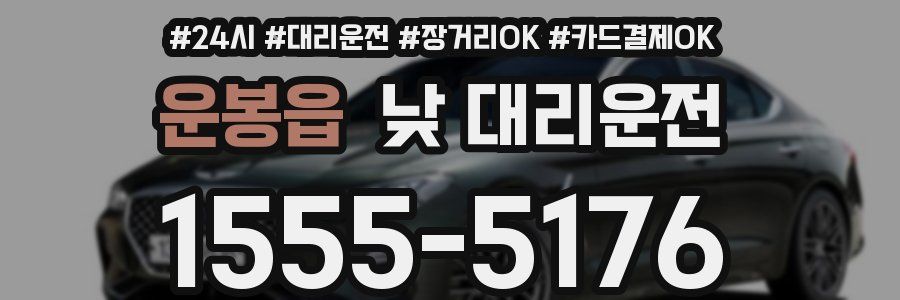운봉읍 낮 대리운전