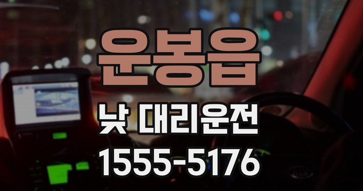 운봉읍 낮 대리운전