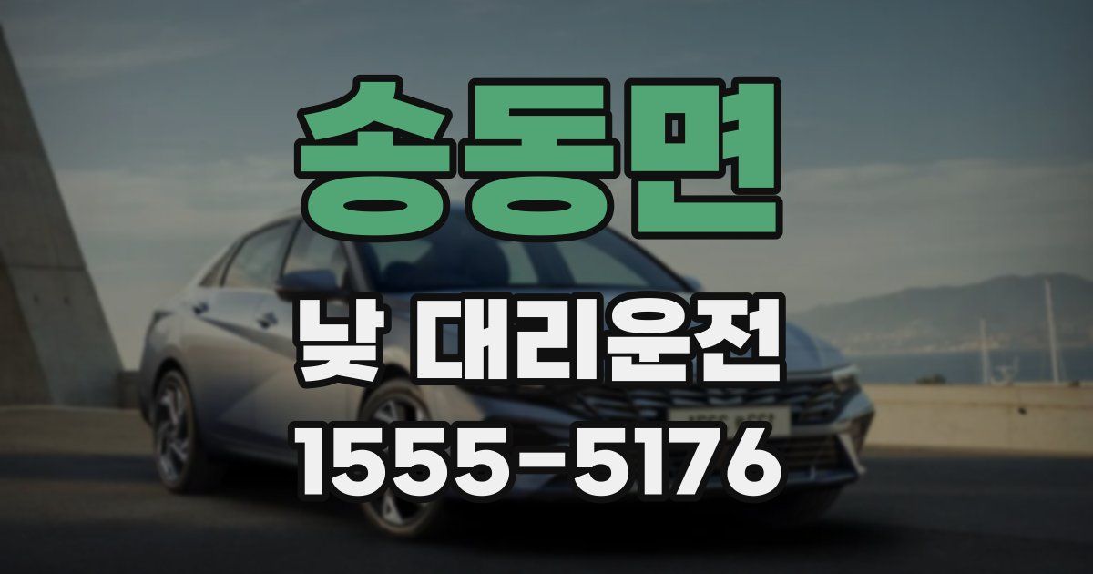 송동면 낮 대리운전