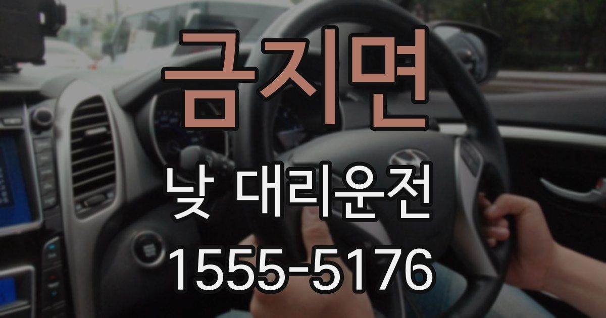 금지면 낮 대리운전