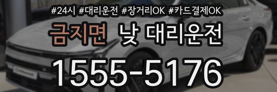 금지면 낮 대리운전