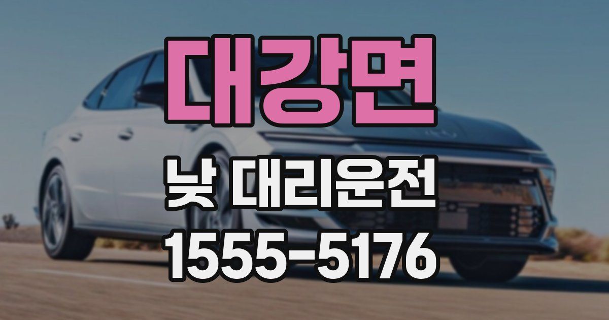대강면 낮 대리운전