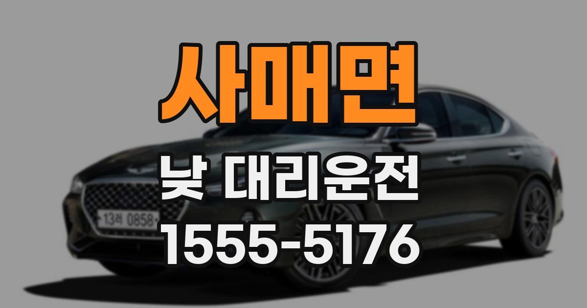사매면 낮 대리운전