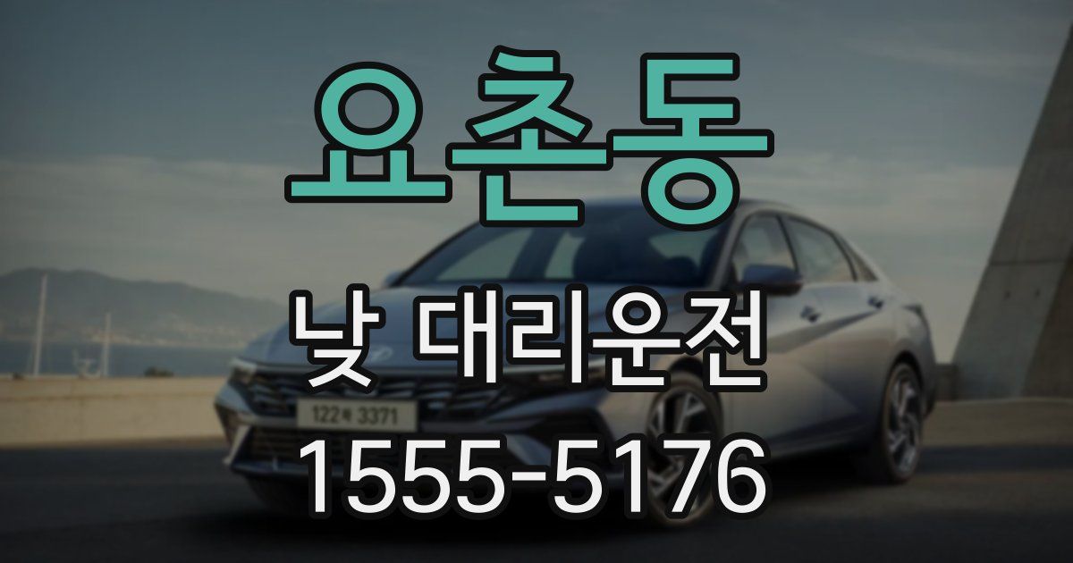 요촌동 낮 대리운전