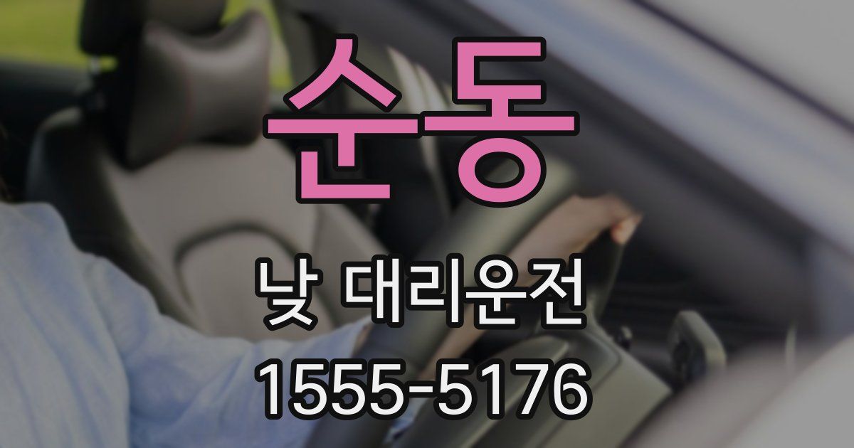 순동 낮 대리운전