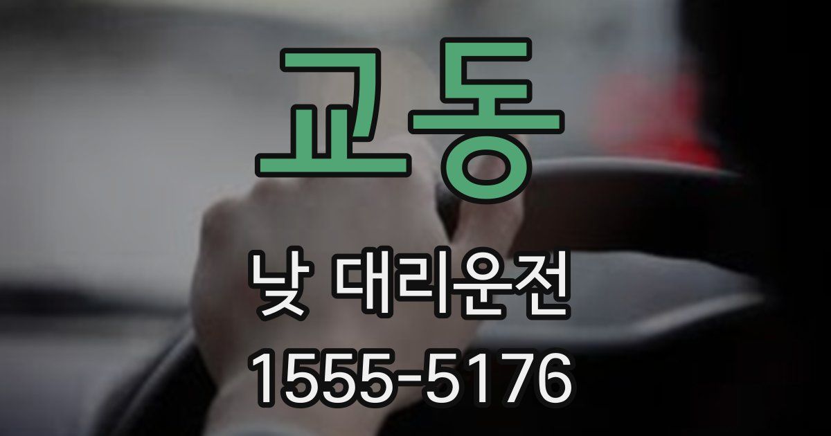 교동 낮 대리운전