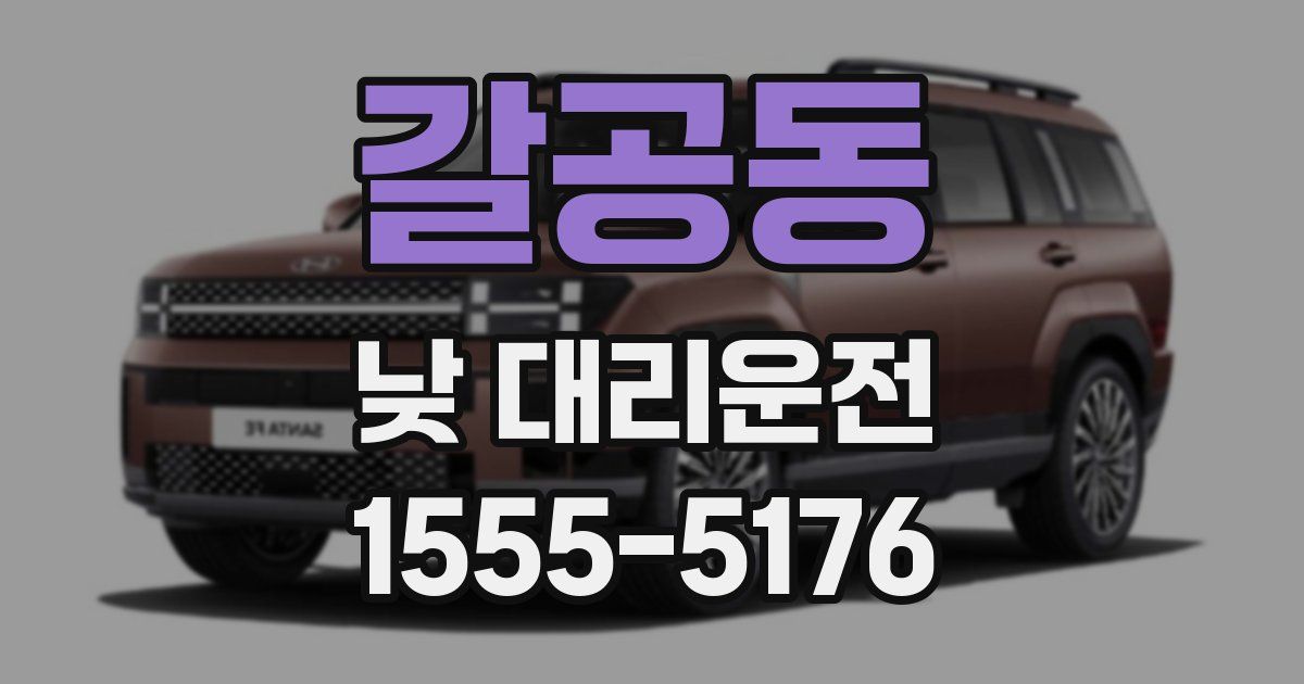갈공동 낮 대리운전