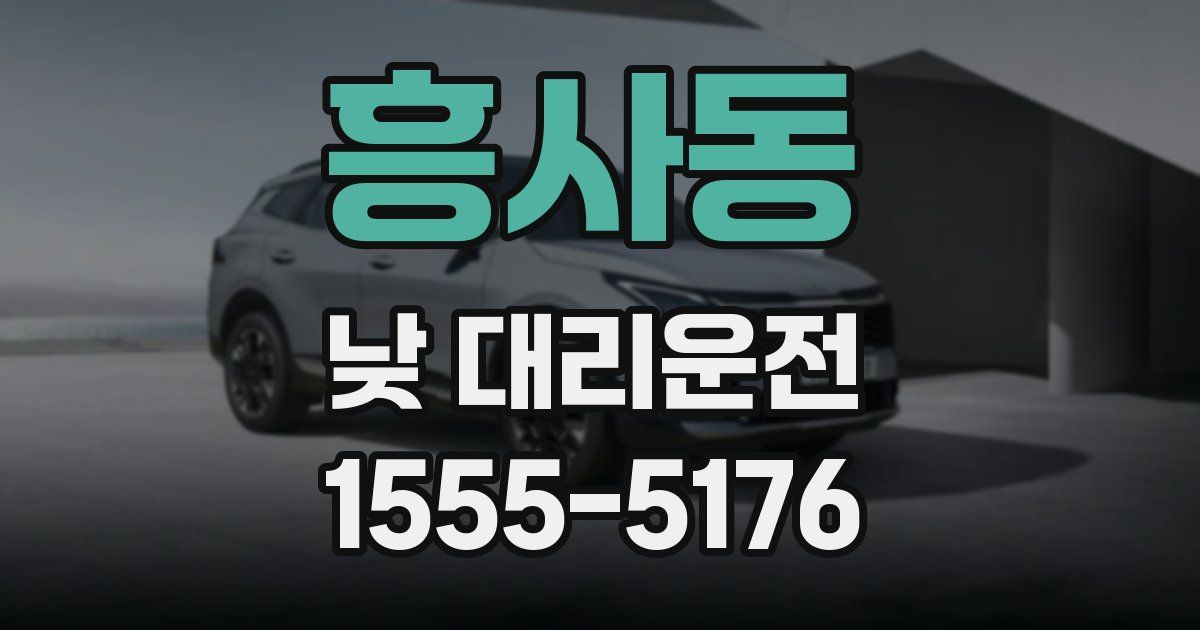 흥사동 낮 대리운전
