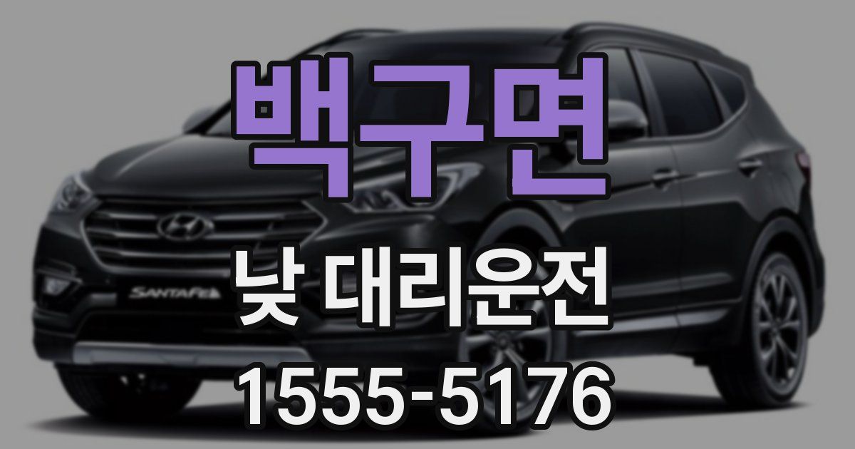 백구면 낮 대리운전