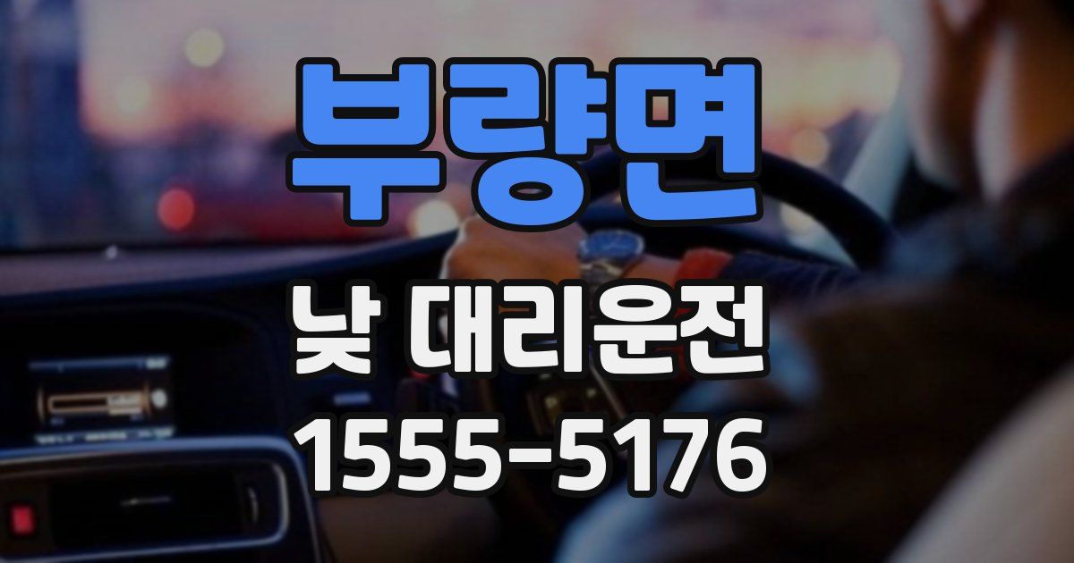 부량면 낮 대리운전